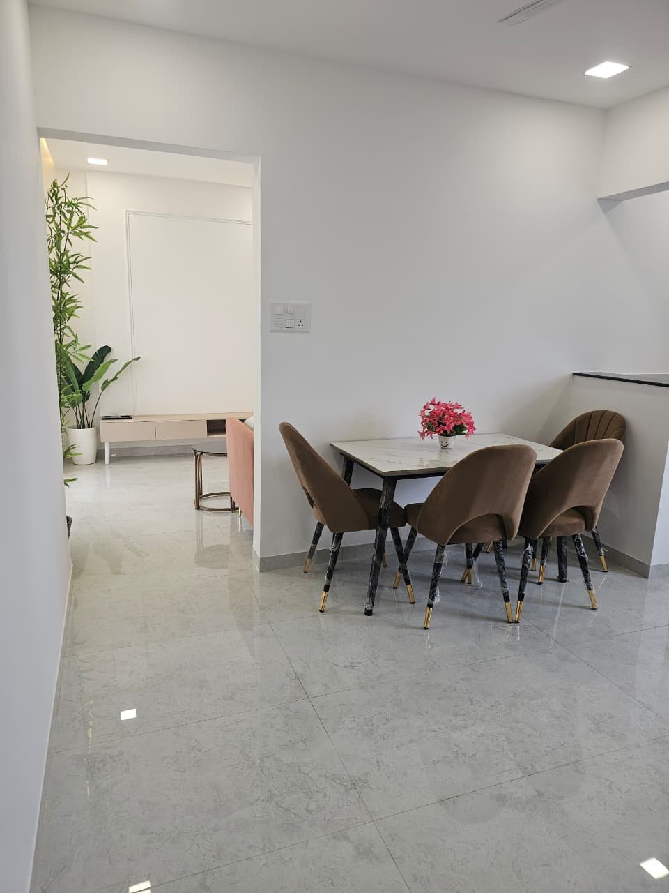 Kohinoor Lantana gallery view 3