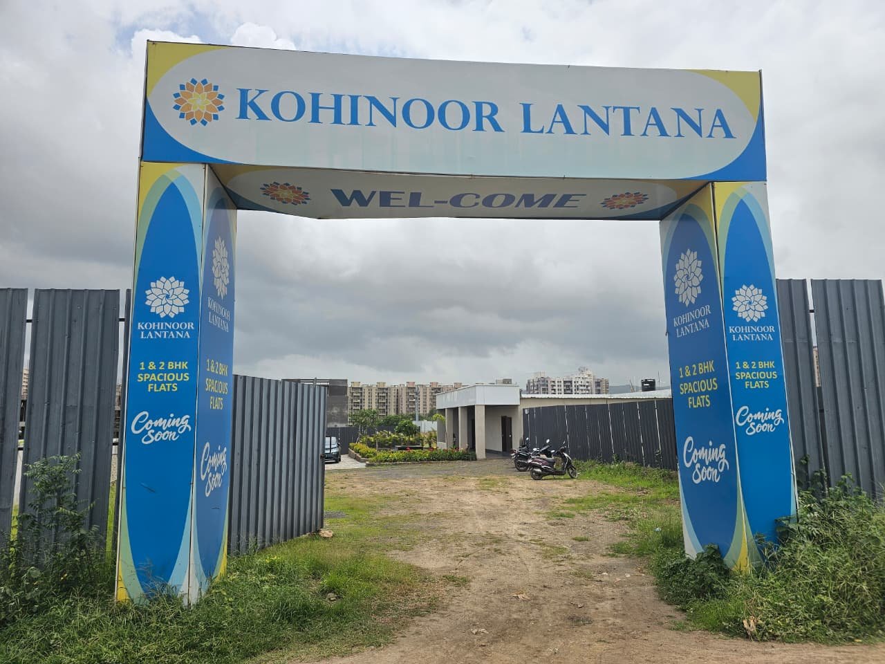 Kohinoor Lantana gallery view 8